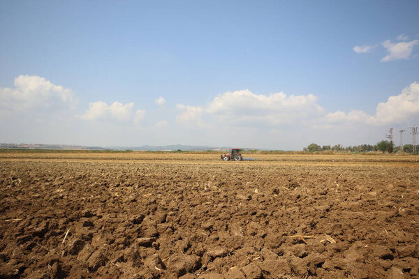 Тракторное поле по утрам