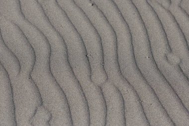 Kumda dalgalanan kum