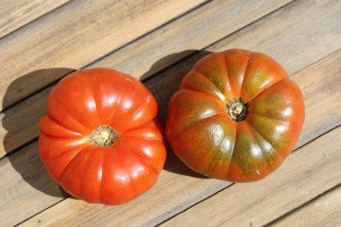 Pantano Romanesco domateslerinin ahşap arka plandaki üst görüntüsü