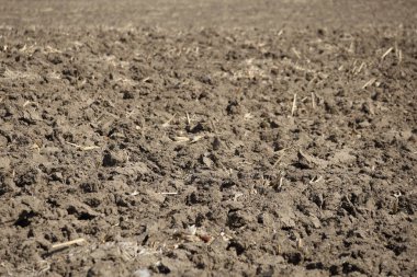 saban sürdükten sonra toprak yapısı ve dokusu