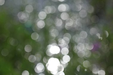 Arka planda odaklanmış ışık yok. Odaklanmamış bokeh.