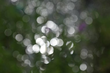 Arka planda odaklanmış ışık yok. Odaklanmamış bokeh.