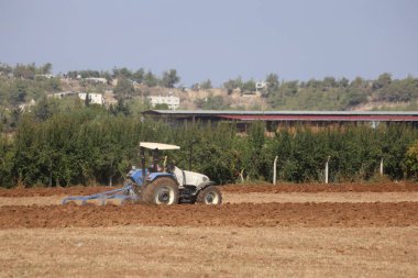 Sonbaharda çiftçi tarlası.