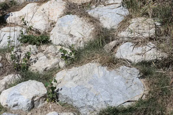 Taşlar nehir kıyısına serilmişti. taş dokusu arkaplanı.