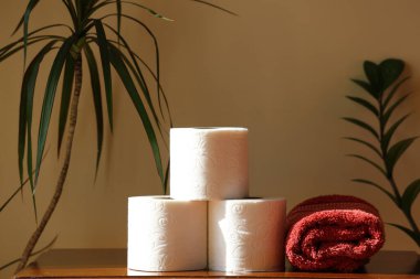 Tuvalet kağıdı ve tuvalet kağıdı ruloları. Banyo konsepti.