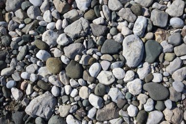 Nehir kenarındaki çakıl taşları