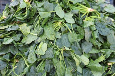 Markette satılan bir yığın ıspanak.