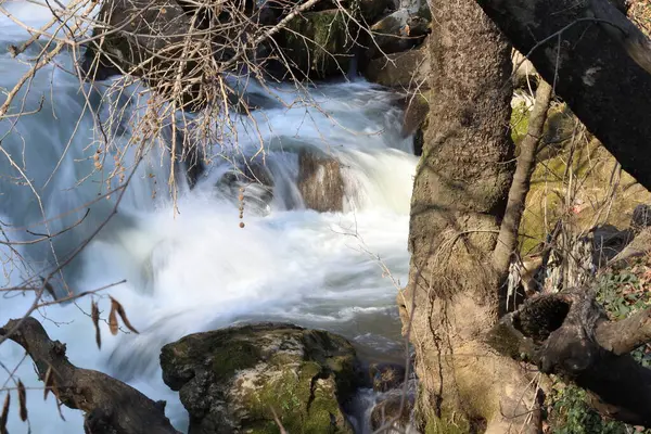 İpeksi bir nehirde uzun süre yakalanmış ıslak bir kaya.