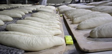 Ekmek hamuru endüstriyel taşıma bandı fırınına giriyor