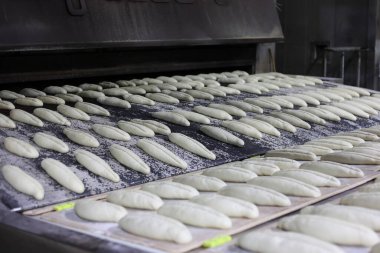 Ekmek hamuru endüstriyel taşıma bandı fırınına giriyor