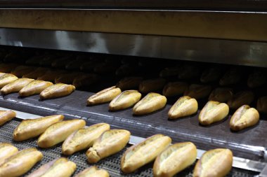 Endüstriyel taşıma bandı fırınından taze pişmiş ekmeğin altın kahverengi somunları geliyor.