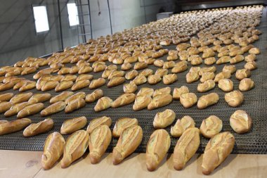 Endüstriyel taşıma bandı fırınından taze pişmiş ekmeğin altın kahverengi somunları geliyor.