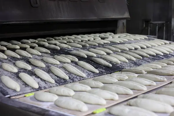 Ekmek hamuru endüstriyel taşıma bandı fırınına giriyor