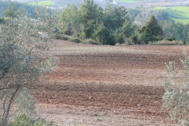 Yeni ekinlerin ekilmesi için yeni ekilmiş bir tarla.
