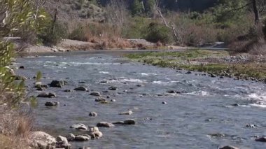 Resmedilmeye değer doğal bir ortamda yavaşça dönen bir nehrin sakin bir görüntüsü.