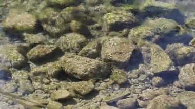 Yavaşça akan bir nehrin sakin manzarası. 
