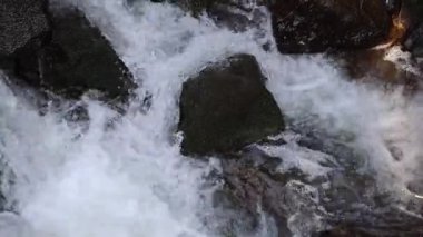 Şiddetle akan güçlü bir nehir, akarken beyaz köpük oluşturur.