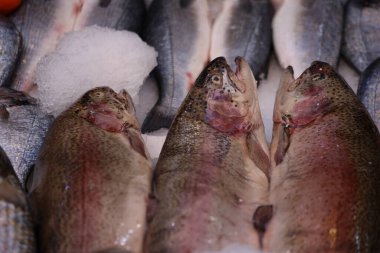 Piyasada taze balık