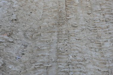 Araba lastiği izli toprak yol dokusu