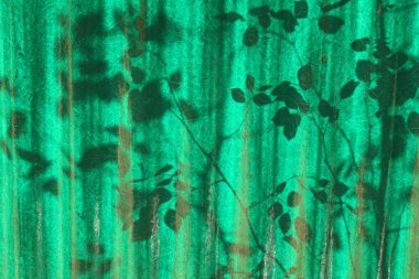 Oluklu yeşil plastik çatının arkasındaki ağaç dallarının resmî görünüşü