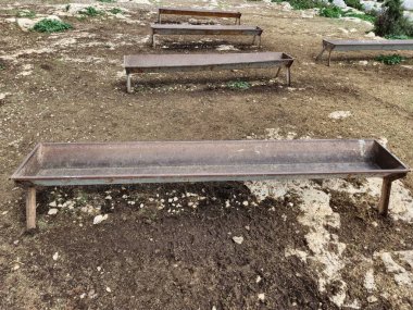 Tarladaki çiftlik hayvanları için su yalakları