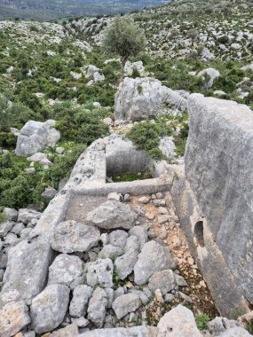 Mersin, Tarsus 'un Saglikli Mahallesi' ndeki Sakizlik harabelerinde bulunan Roma Dönemi 'nden kalma eski şarap basın atölyesi. Bir dikdörtgen koleksiyon havzası.