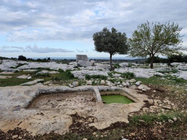 Mersin, Tarsus 'un Saglikli Mahallesi' ndeki Sakizlik harabelerinde bulunan Roma Dönemi 'nden kalma eski şarap basın atölyesi. Bir dikdörtgen koleksiyon havzası.