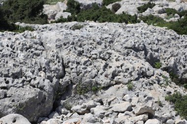 Büyük delikli bir kayanın süngerimsi görüntüsü
