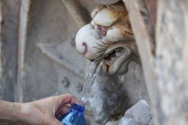 Roma, İtalya 'daki aslan başlı' Nasoni 'halk çeşmesinden bir şişeye su dolduran kişi.