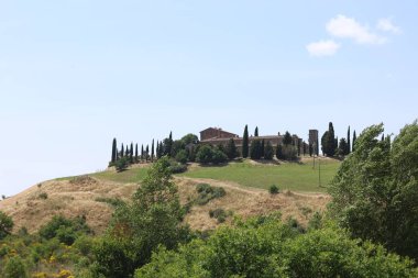 İtalya 'nın Val d' Orcia kentindeki tepedeki bir eve giden selvi çizgili patika.