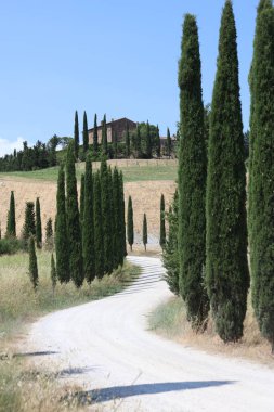 İtalya 'nın Val d' Orcia kentindeki tepedeki bir eve giden selvi çizgili patika.