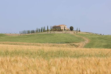 İtalya 'nın Val d' Orcia kentindeki tepedeki bir eve giden selvi çizgili patika.