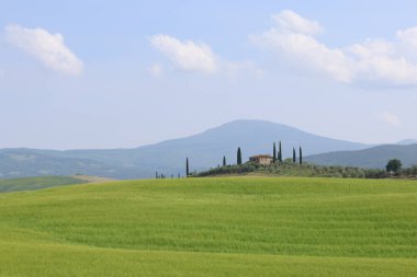 İtalya 'nın Val d' Orcia kentindeki tepedeki bir eve giden selvi çizgili patika.