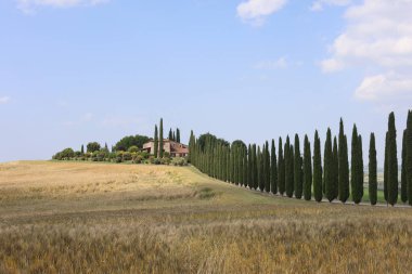 İtalya 'nın Val d' Orcia kentindeki tepedeki bir eve giden selvi çizgili patika.