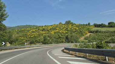 İtalya, Toskana 'da çiçek açan ortak süpürgeyle otoyol eğrisi