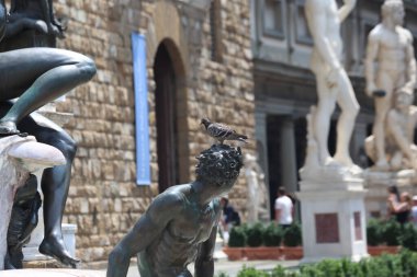 İtalya Floransa 'da bir İtalyan heykeline tüneyen güvercin