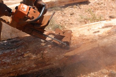 Taşınabilir kabuk soyucu kullanarak ağaç gövdesini indiren bir işçi