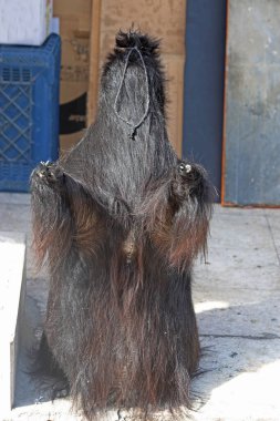 Keçi postuna doldurulmuş geleneksel Türk tülum peyniri. Tulum peyniri için keçi derisi keçi kesesi.