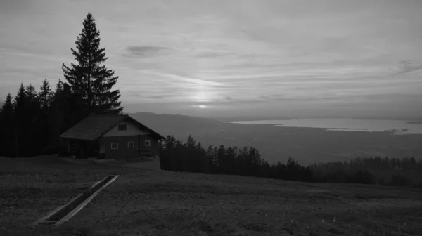 View of Lake Constance from a mountain hut standing next to a fir tree, with rain gutter on the ground from the hiking trail in black and white in Dornbirn, Vorarlberg, Austria