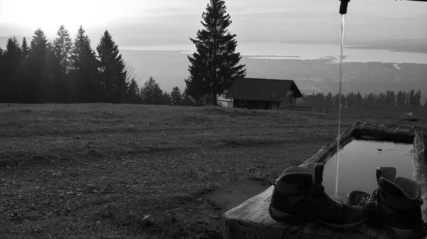 太陽の光がモミの木や木の上のハイキングブーツを通して輝く山の上の夕日と黒と白でオーストリアのヴォラールベルク州ドーンバーンの背景にある湖のコンスタンス — ストック写真