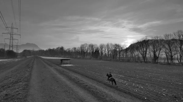 黒と白のダム道路の横の牧草地で日没の馬に乗って女性ライダー — ストック写真