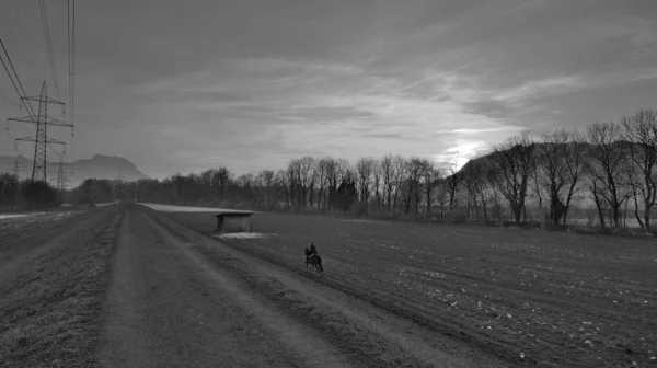 夕暮れ時の馬に乗って遠く離れたダムの道路 小屋や木々の黒と白の横に女性のライダー — ストック写真