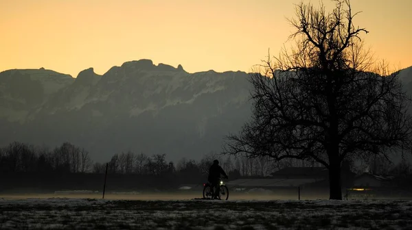 Silhouette of a cyclist with light in winter next to a tree, fog on the ground and mountains in background in twilight