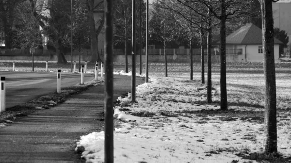 Велосипедная Пешеходная Дорожка Рядом Проспектом Деревьев Зимой Австрии Черно Белом — стоковое фото