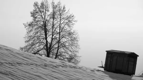 丘の雪で覆われ 木やオーストリアの背景に傾斜トレーラー 黒と白 — ストック写真