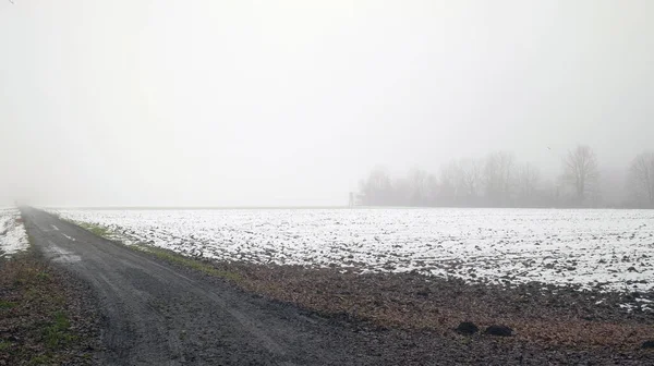 冬は霧と雪を背景に畑をぬかるんだ道 — ストック写真