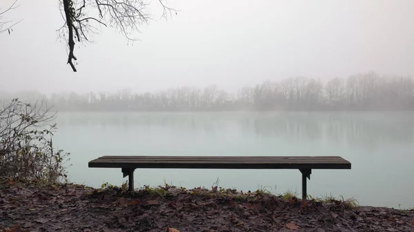 地面に葉が付いている冬の霧の多い湖の前のベンチ — ストック写真