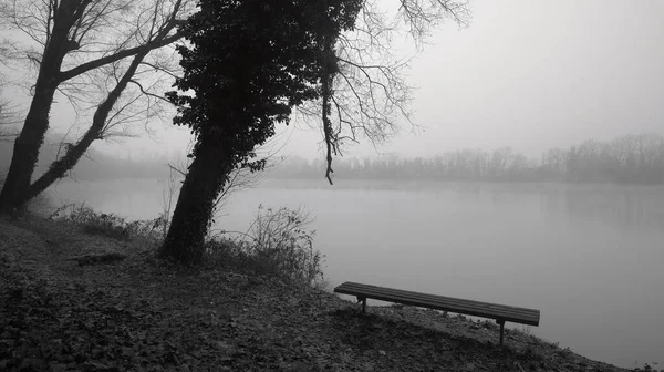 Туманное Озеро Зимой Деревьями Скамейкой Черно Белом Цвете — стоковое фото