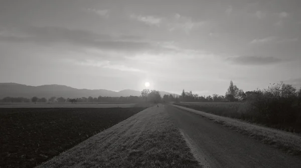 黒と白の大きなフィールドの横に夕日の歩道 — ストック写真