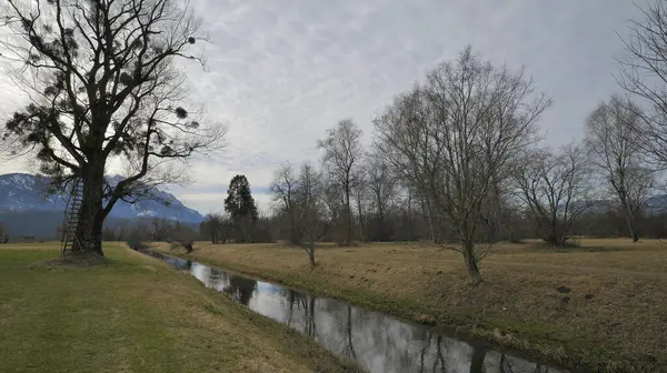 stock image River in winter between bare trees and leaning ladder under overcast sky and mountains in background